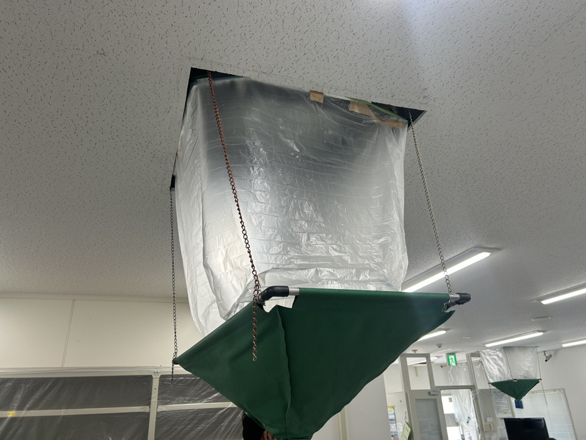 洗浄中